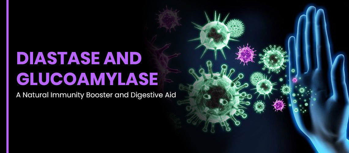 Diastase and Glucoamylase: A Natural Immunity Booster and Digestive Aid