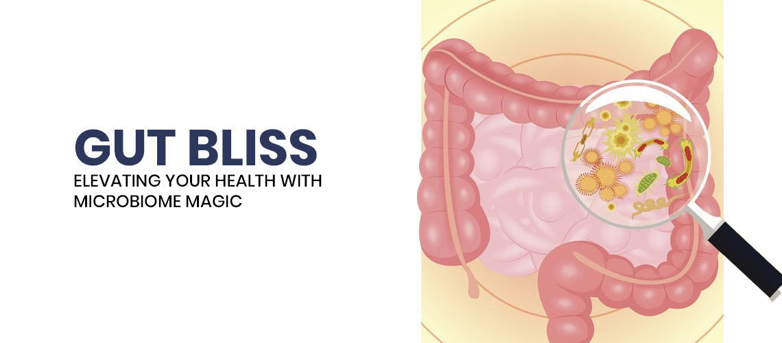 Gut Bliss: Elevating Your Health with Microbiome Magic