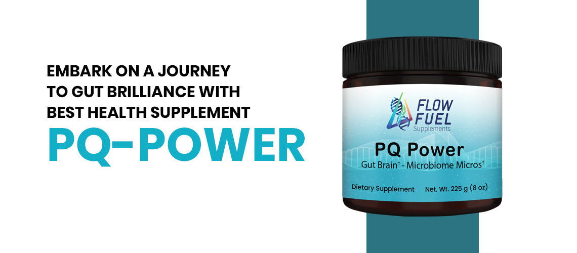 Embark on a Journey to Gut Brilliance with Best Health Supplement PQ-Power Gut-Brain