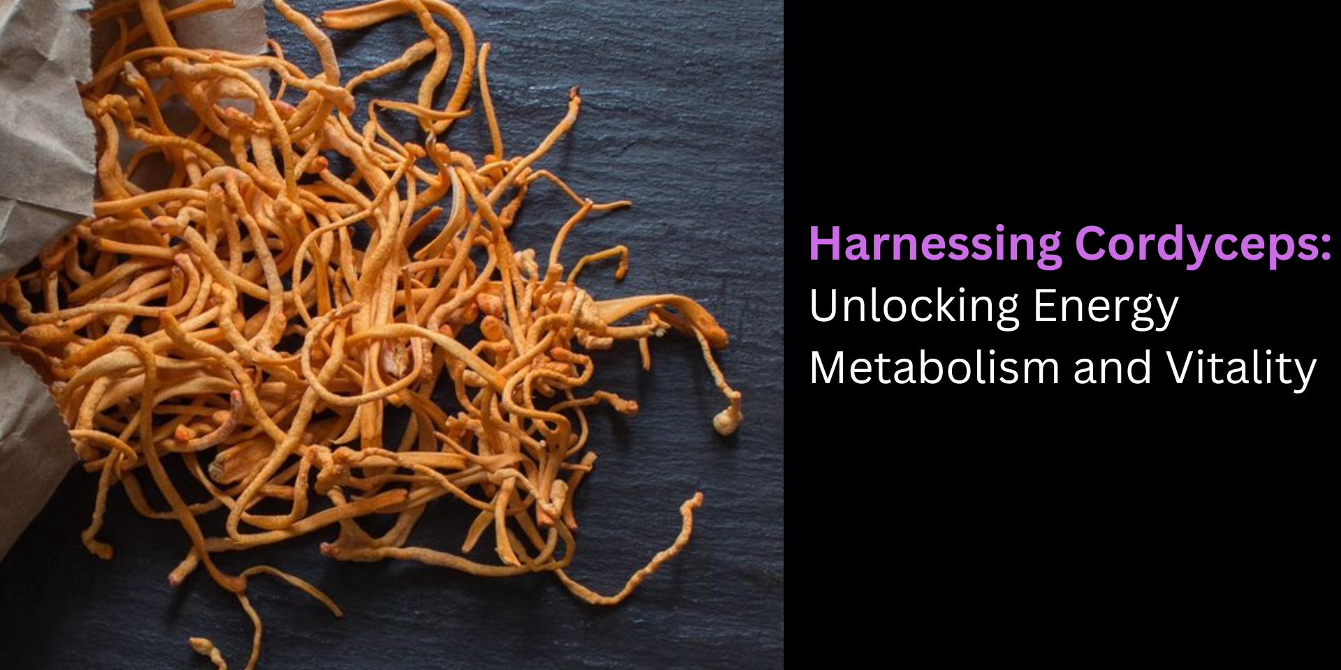 Harnessing Cordyceps: Unlocking Energy Metabolism and Vitality