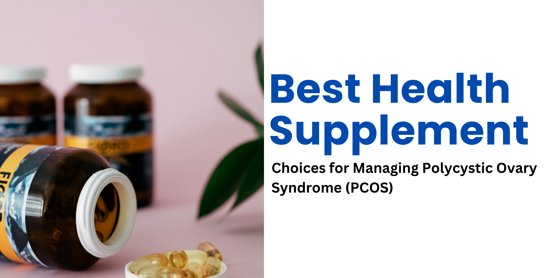 Best Health Supplement Choices for Managing Polycystic Ovary Syndrome